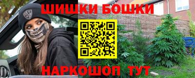 МДПВ Камень-на-Оби