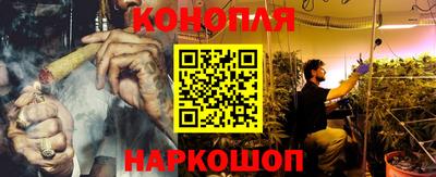 МДПВ Камень-на-Оби