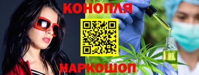 МДПВ Камень-на-Оби